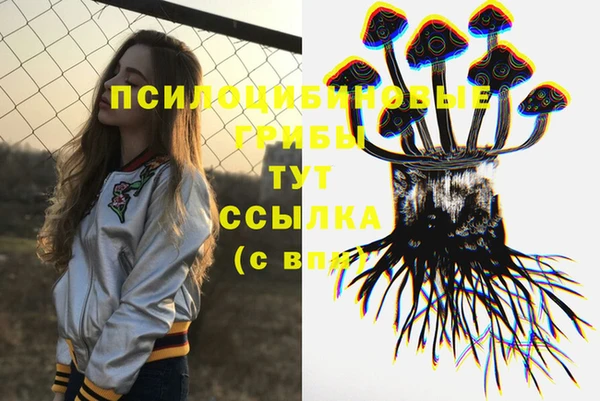 хмурый Покачи