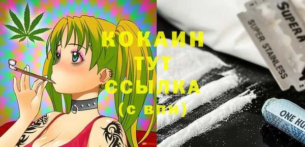 хмурый Покачи