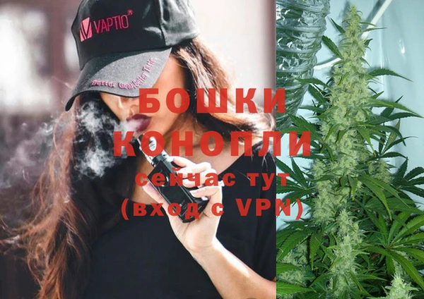 хмурый Покачи