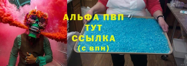 дживик Гатчина