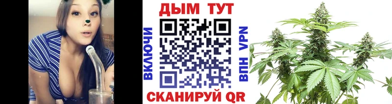 купить  цена  Тарко-Сале  Шишки марихуана сатива 